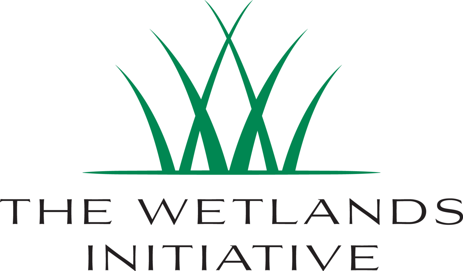 The Wetlands Initiative