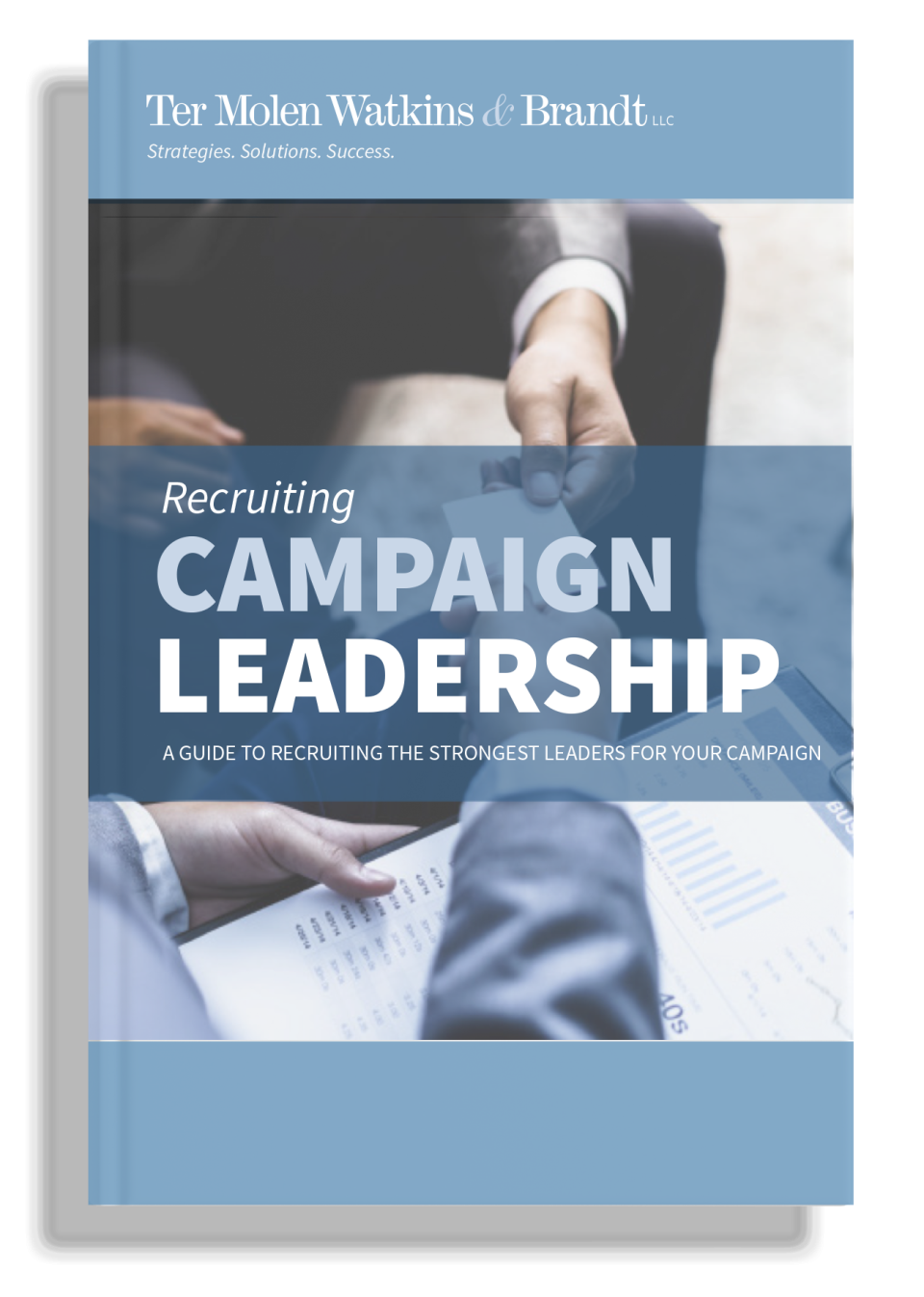 Campaign leadership Download