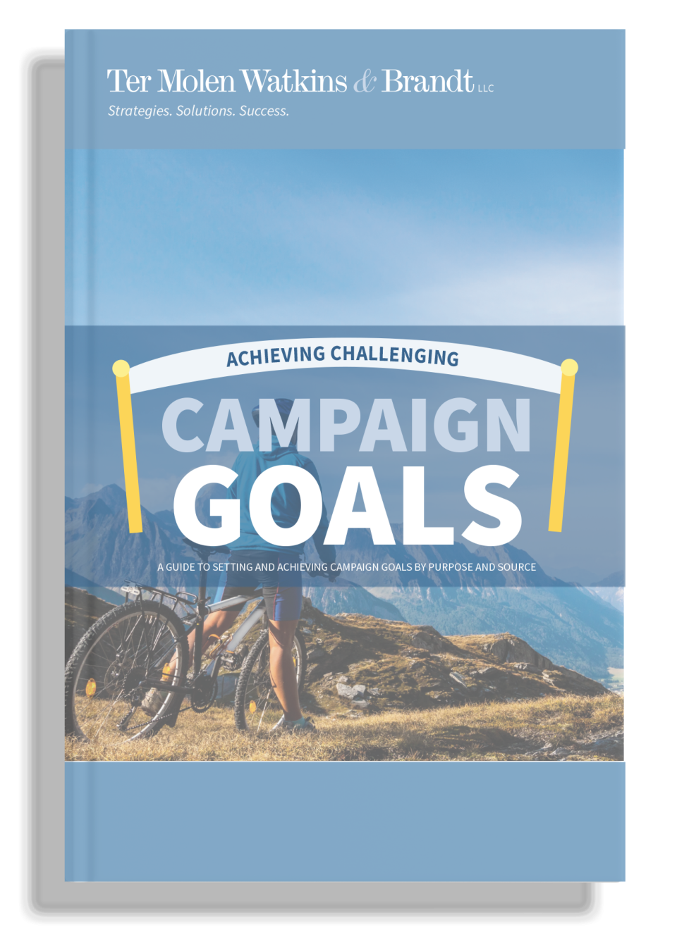 Campaign Goals Download