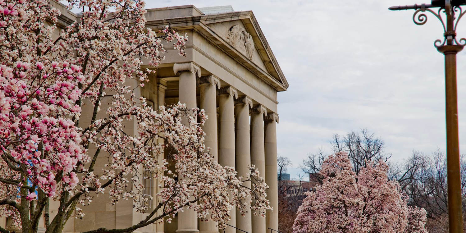 In a New Light: Campaign for the Baltimore Museum of Art